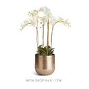 Emberlynn Metal Cachepot Gold Indoor Planter Pot - BlueJay Avenue