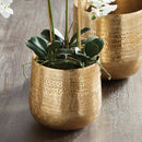 Emberlynn Metal Cachepot Gold Indoor Planter Pot - BlueJay Avenue