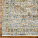 Emma Taupe Traditional Washable Outdoor Rug - BlueJay Avenue