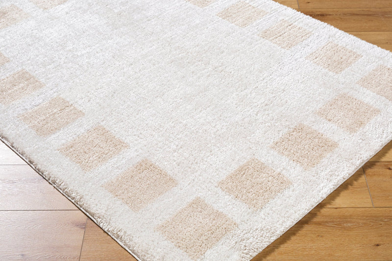 Fossay Beige Modern Washable Shag Rug - BlueJay Avenue