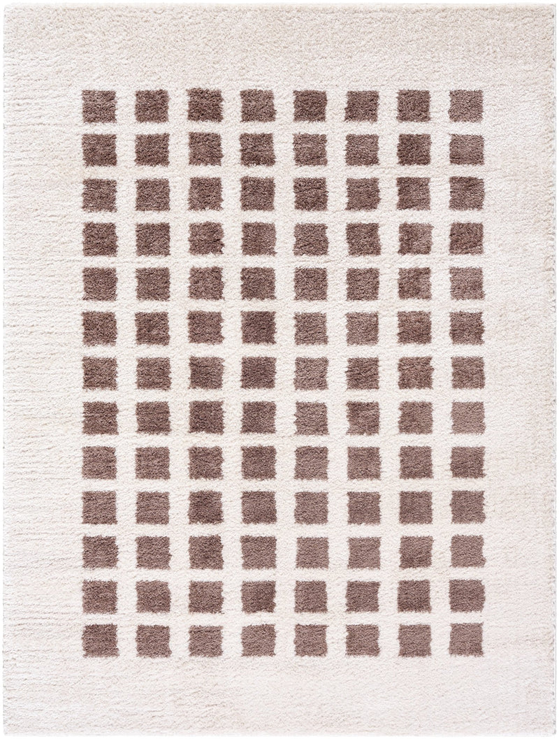 Fossay Brown Washable Checkered Shag Rug - BlueJay Avenue