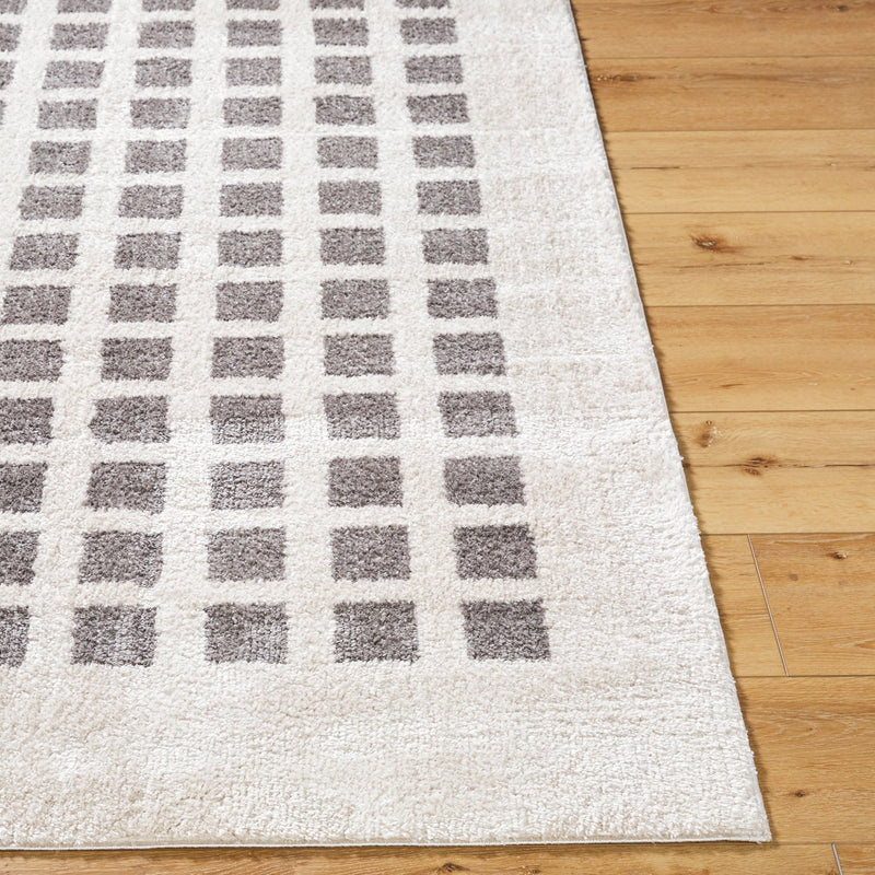 Fossay Dark Grey and Beige Washable Checkered Shag Rug - BlueJay Avenue