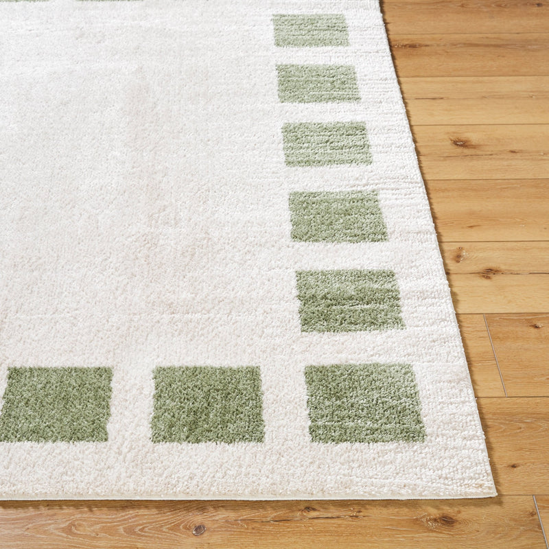 Fossay Olive Modern Washable Shag Rug - BlueJay Avenue
