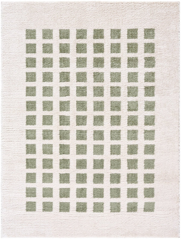Fossay Olive Washable Checkered Shag Rug - BlueJay Avenue