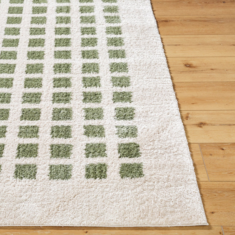 Fossay Olive Washable Checkered Shag Rug - BlueJay Avenue