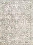 Galey Alix x Livabliss Collins Avenue Sage Traditional Area Rug - BlueJay Avenue