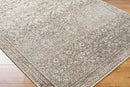 Galey Alix Collins Ivory & Blue Vintage Style Traditional Living Room Rug - BlueJay Avenue
