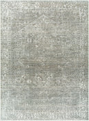 Galey Alix Collins Olive Traditional Living Room Area Rug - BlueJay Avenue