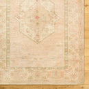 Galey Alix Luciana Hand Tufted Blush Pink Medalion Traditional Area Rug - BlueJay Avenue