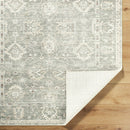 Galey Alix x Livabliss Collins Avenue Sage Traditional Area Rug - BlueJay Avenue