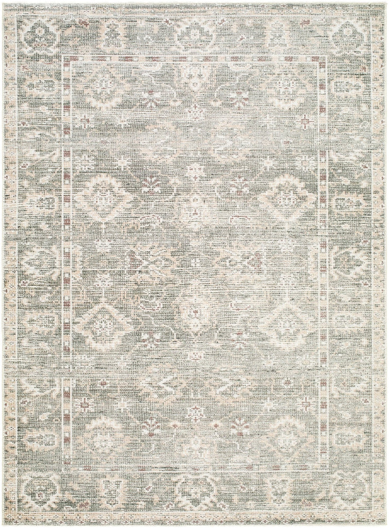 Galey Alix x Livabliss Collins Avenue Sage Traditional Area Rug - BlueJay Avenue