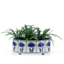Hannah Scallop Indoor Planter Pot - BlueJay Avenue