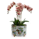 Lake Agawam Center Basin Indoor Planter Pot - BlueJay Avenue