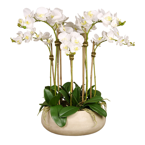 White Artificial Orchid Flower in Beige Planter - BlueJay Avenue