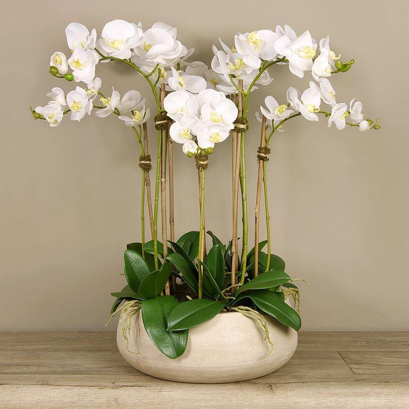 White Artificial Orchid Flower in Beige Planter - BlueJay Avenue
