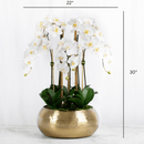 Large White Silk Orchid in Gold Vase Real Touch Artificial Flower - BlueJay Avenue