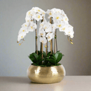 Large White Silk Orchid in Gold Vase Real Touch Artificial Flower - BlueJay Avenue