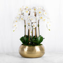 Large White Silk Orchid in Gold Vase Real Touch Artificial Flower - BlueJay Avenue