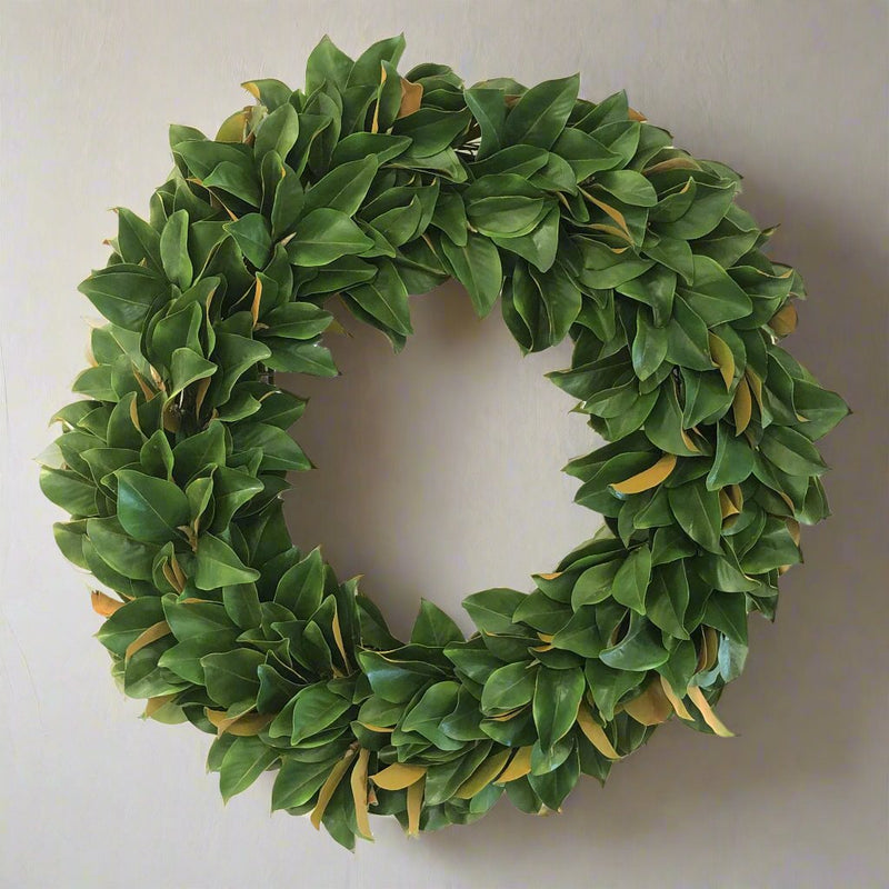 Magnolia Leaf 36'' Christmas Wreath - BlueJay Avenue
