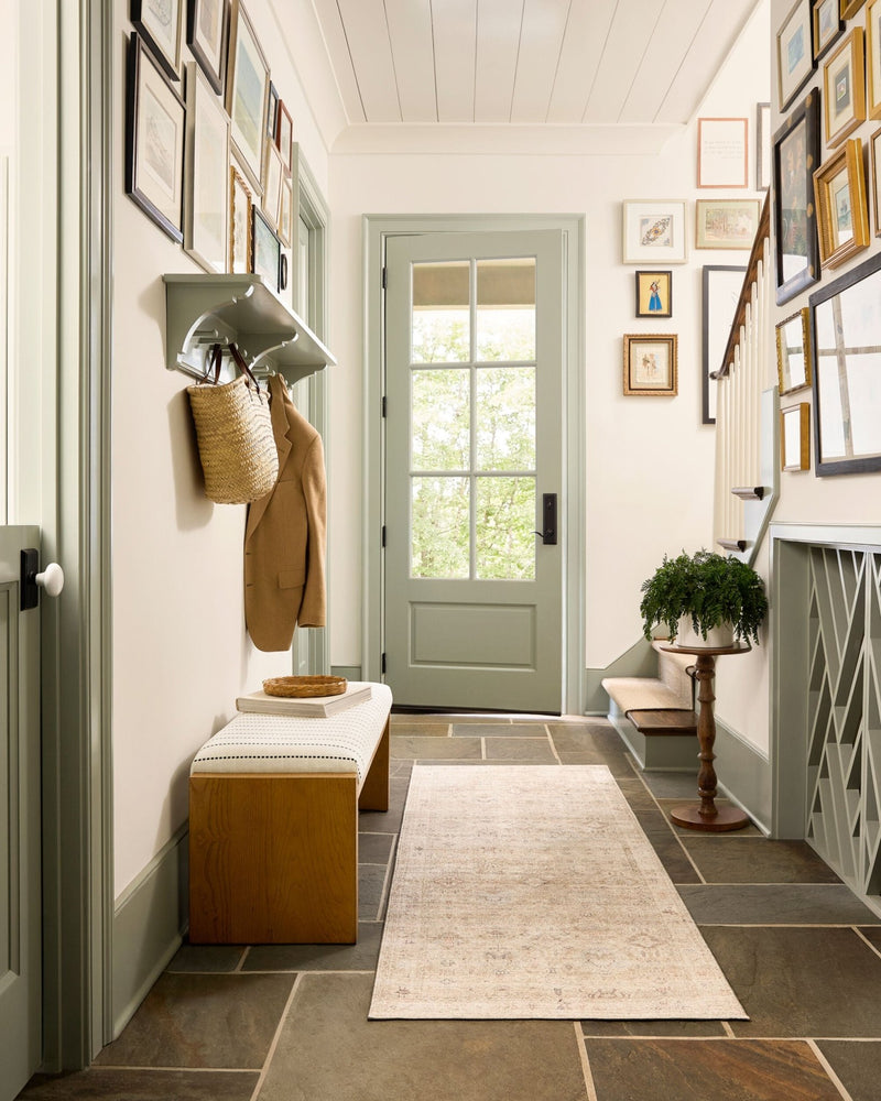 Marlene Cream Traditional Area Rug - BlueJay Avenue