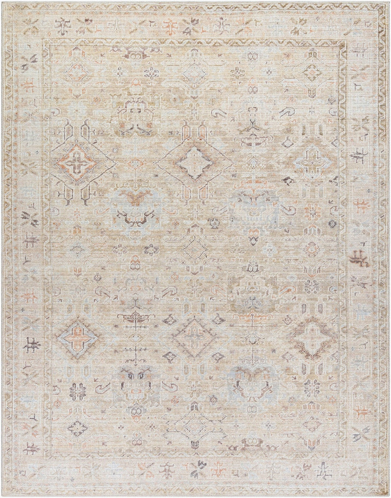 Marlene Cream Traditional Area Rug - BlueJay Avenue