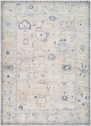 Marlon Light Beige Vintage Traditional Area Rug - BlueJay Avenue