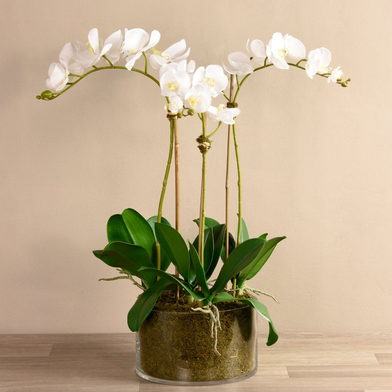 Artificial White Orchid Flower in Glass Vase