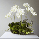 Mini Dendrobium with Rustic Artificial Flower Arrangement Drop - In 16" - BlueJay Avenue