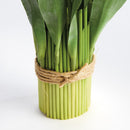 Napa Home Peony Tulip Bundle Faux Floral Arrangement | 19" & 22" - BlueJay Avenue