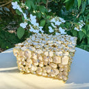 Olivia Riegel Dogwood Gold & Ivory Crystal Decorative Box - BlueJay Avenue