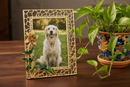 Olivia Riegel Splendora Orchid Gold Picture Frame - BlueJay Avenue