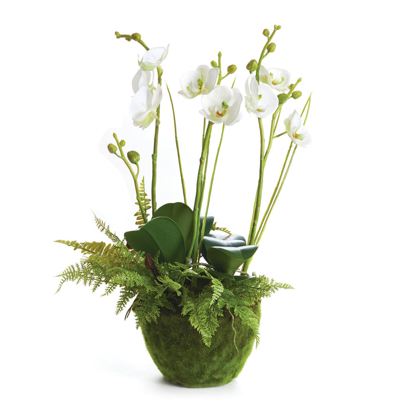 Phalaenopsis and Fern Artificial Floral Arrangement Drop - In 18" - BlueJay Avenue