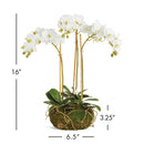 Phalaenopsis White Orchid Mini Garden Drop - In 16" Artificial Flower - BlueJay Avenue
