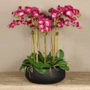 Pink Artificial Orchid Flower Arrangement in Black Planter - BlueJay Avenue