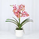 Pink Vanda Faux Orchid Arrangement in Vase – 24" - BlueJay Avenue