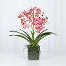 Pink Vanda Faux Orchid Arrangement in Vase – 24" - BlueJay Avenue