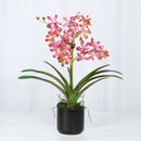 Pink Vanda Faux Orchid Arrangement in Vase – 24" - BlueJay Avenue