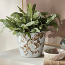 Province Flower Pot, Set of 3 - BlueJay Avenue