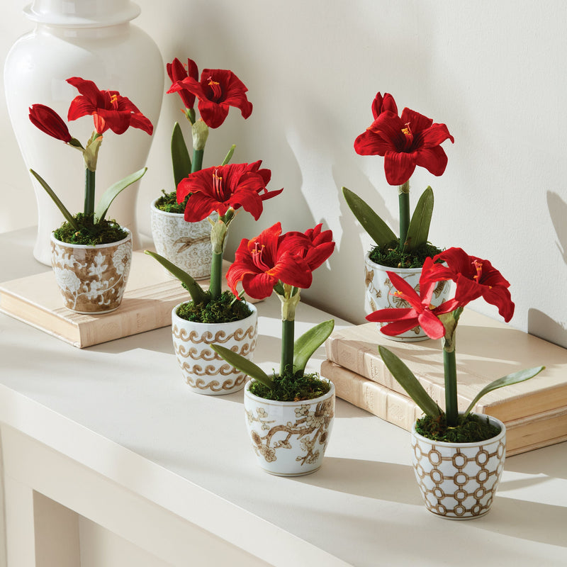 Province Mini Flower Pot, Set of 6 - BlueJay Avenue