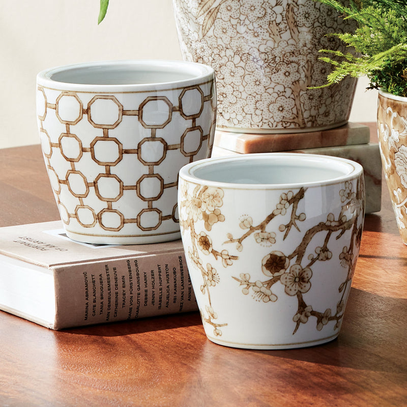 Province Mini Flower Pot, Set of 6 - BlueJay Avenue