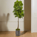 Real Touch 69" Artificial Fiddle Leaf Tree in Ribbed Metal Planter - BlueJay Avenue