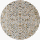 Reina Light Grey & Blue Traditional Area Rug - BlueJay Avenue