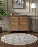 Reina Light Grey & Blue Traditional Area Rug - BlueJay Avenue
