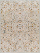 Reina Light Grey Traditional Rug - BlueJay Avenue