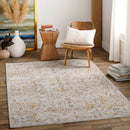 Reina Light Grey Traditional Rug - BlueJay Avenue