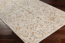Reina Light Grey Traditional Rug - BlueJay Avenue