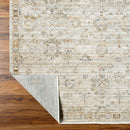 Ren Taupe Traditional Washable Outdoor Rug - BlueJay Avenue