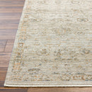 Ren Taupe Traditional Washable Outdoor Rug - BlueJay Avenue