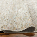 Ren Taupe Traditional Washable Outdoor Rug - BlueJay Avenue