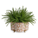 Scalamandre Baldwin Quatrefoil Indoor Planter - BlueJay Avenue